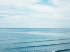 Take a Look at DEEP Blue