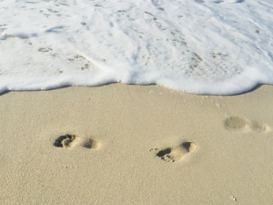 First Steps in DEEP Blue