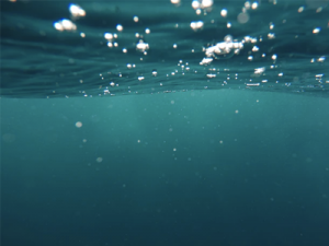 Latest Release Notes